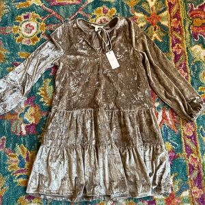 Elegant Blush Crushed Velvet Puff Sleeve Dress